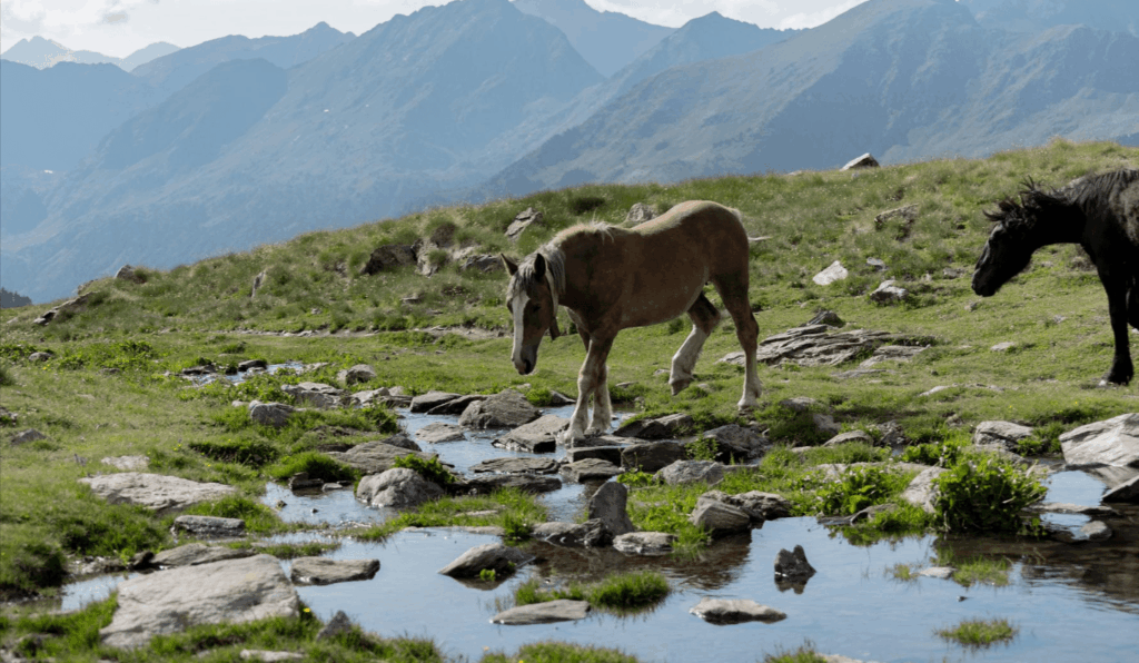 Sorteny Valley Nature Park