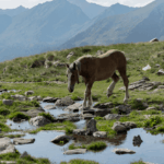 Sorteny Valley Nature Park