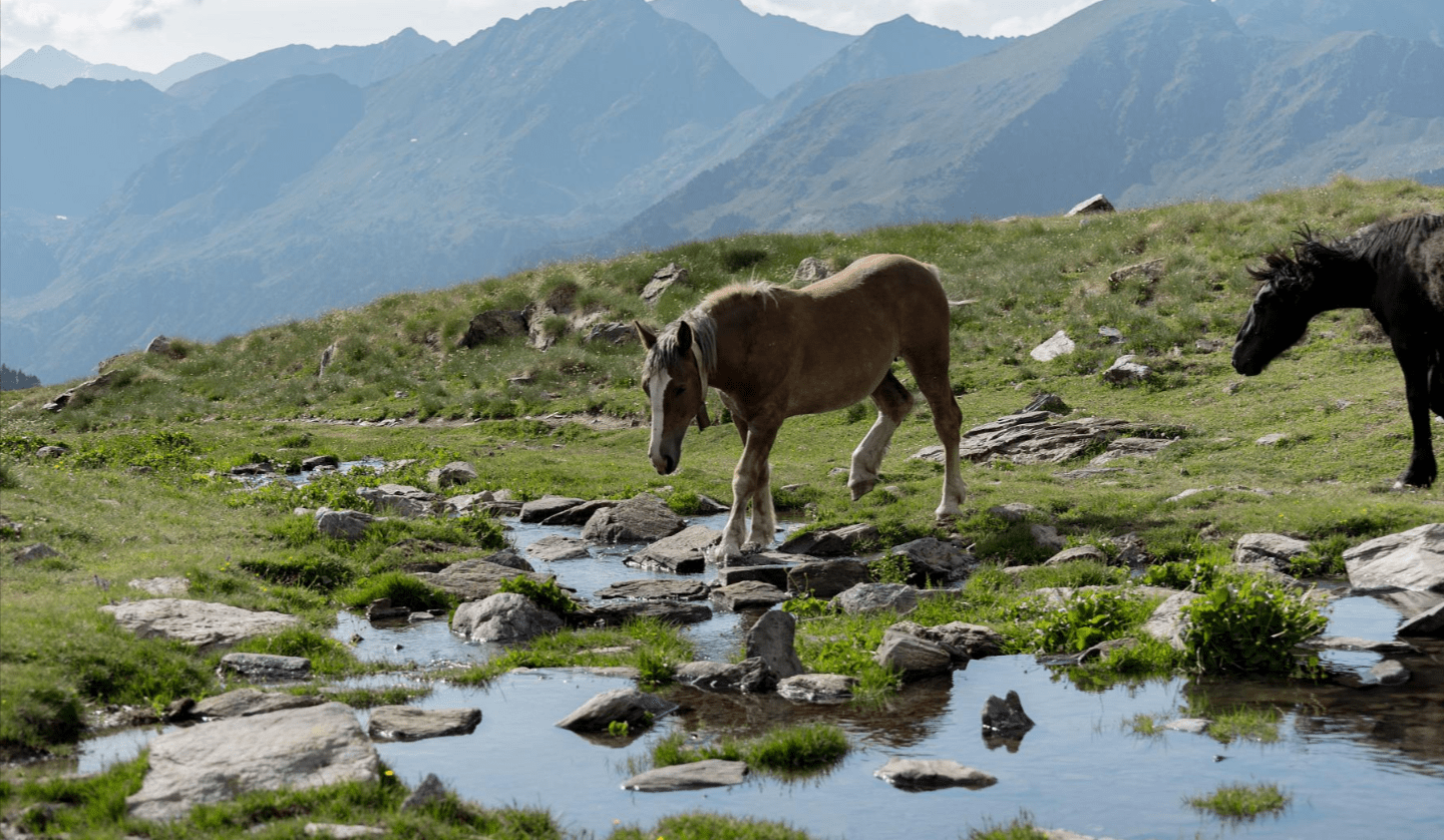 Sorteny Valley Nature Park